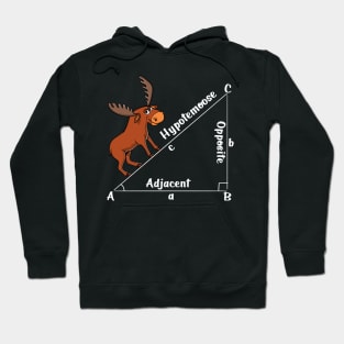 Math Hypotemoose Hoodie